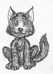 11-%d0%b2%d0%be%d0%bb%d1%87%d0%be%d0%bd%d0%be%d0%ba