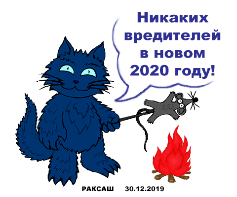 Новый год 2020-2